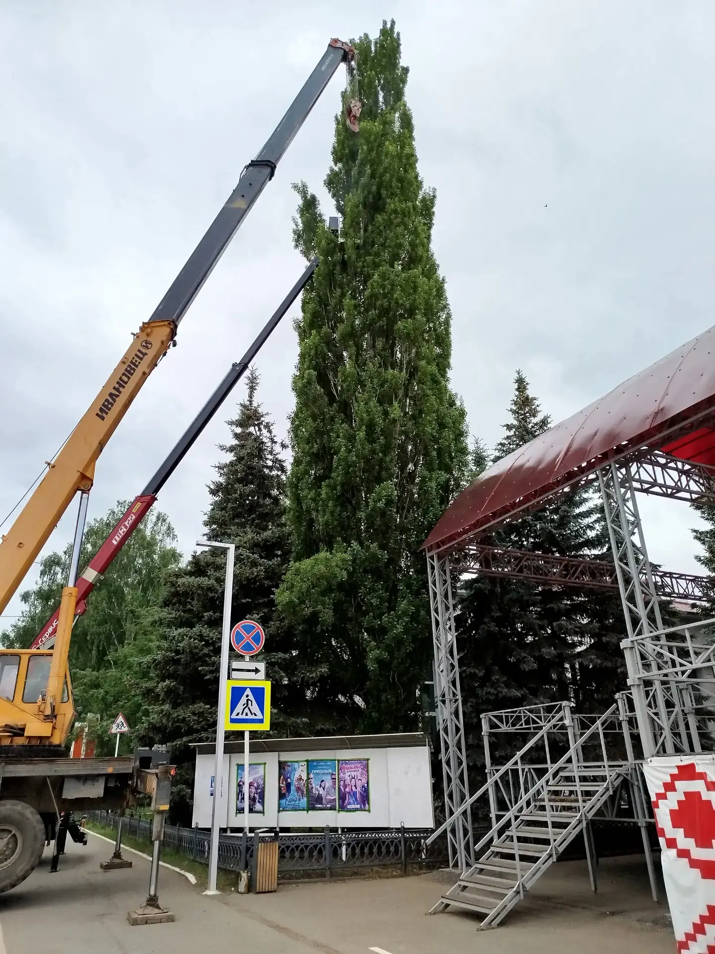 Срубили наш тополь