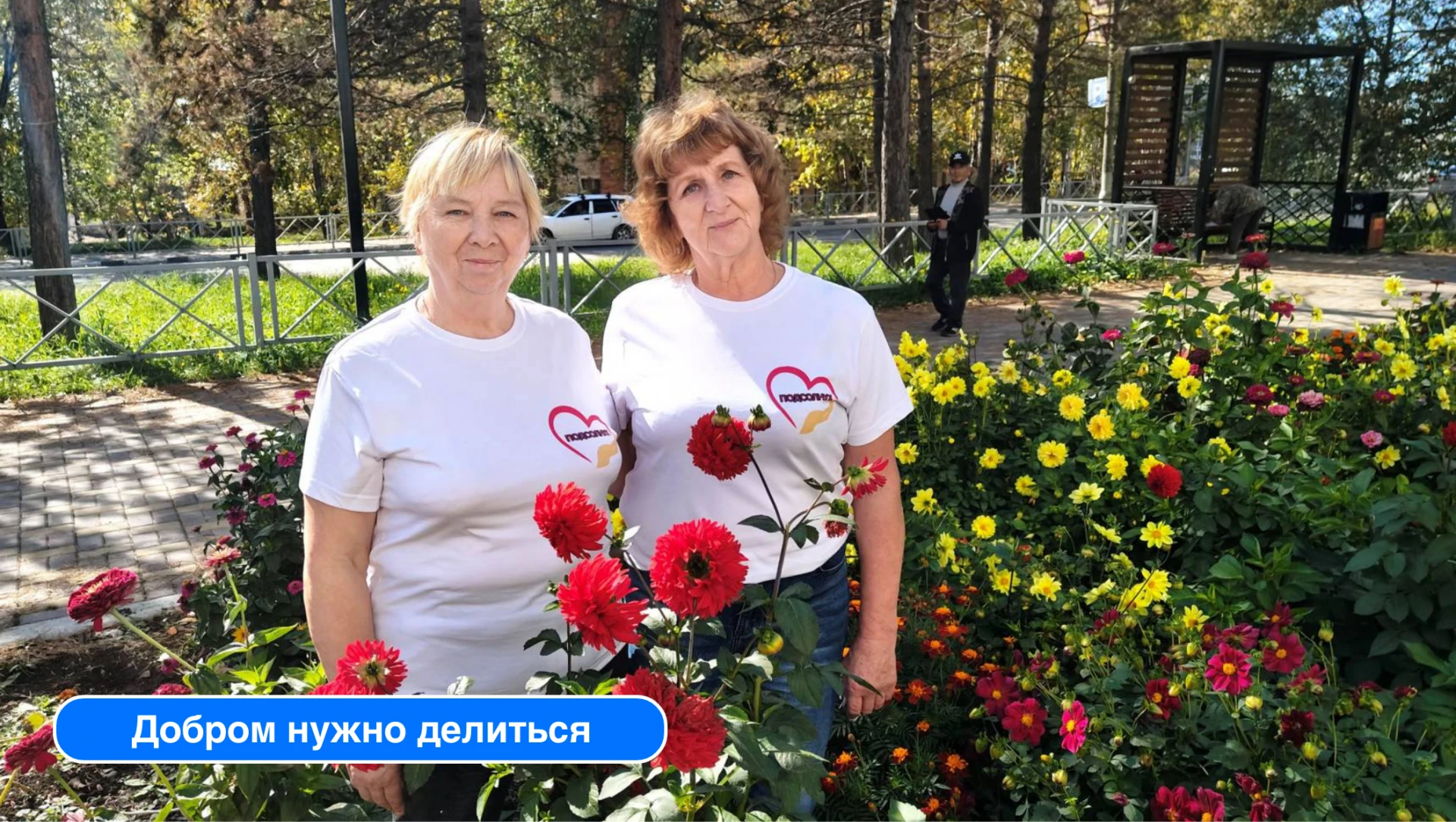 🤝 Квас из бархатцев, клумбы Победы и разговор о том, как вовлекать в общее дело людей ...