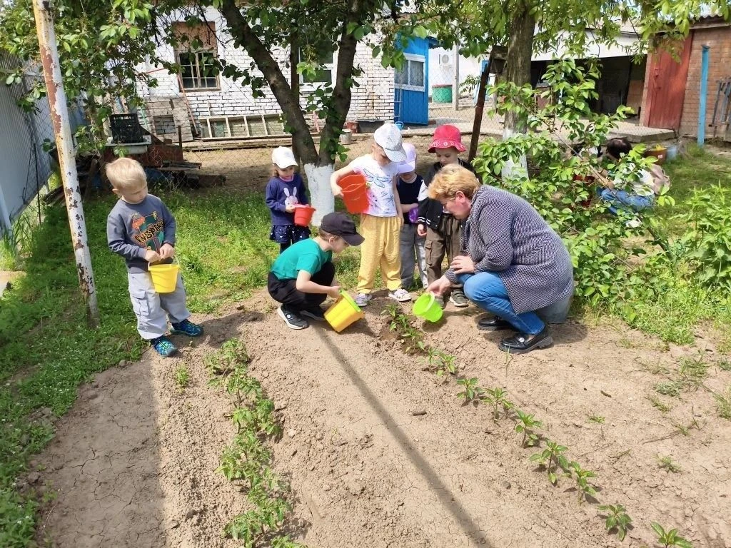 🌿 Наш детский огород — место, где растут не только овощи, но и доброта, дружба и забота!