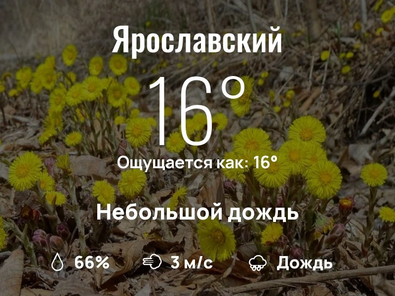 Что с погодой в Ярославском?