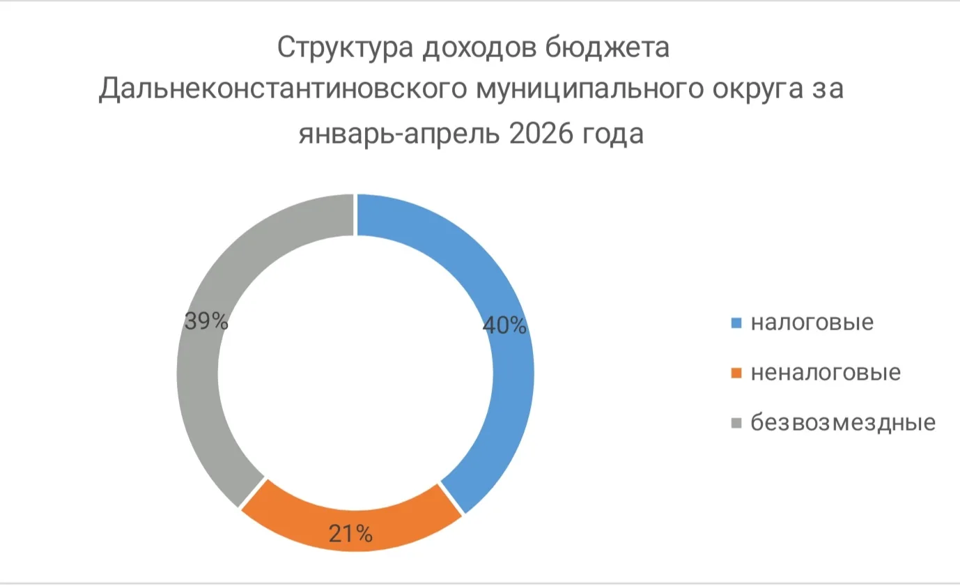 📌Оперативная информация по исполнению бюджета Дальнеконстантиновского муниципального округа за янва