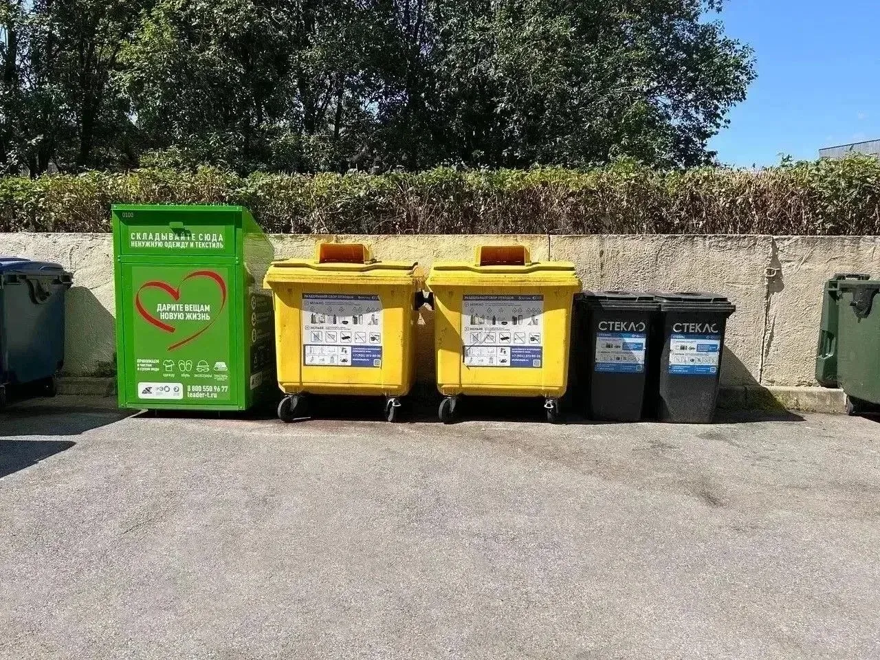 ♻️ Разделим вместе. Как в Санкт-Петербурге организовано раздельное накопление ТКО?

Сегодня во всех 