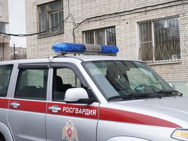 Пятилетнего мальчика нашли за 20 минут после пропажи в Хабаровском крае.
