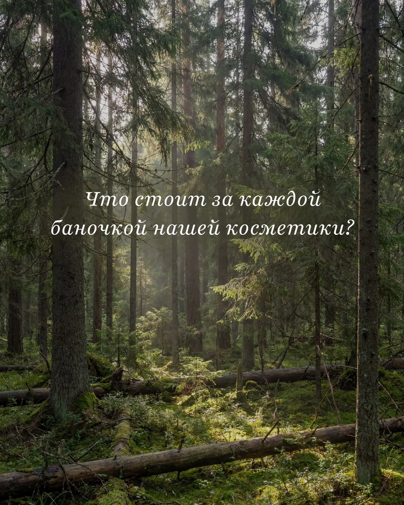 Не только тайга. 
Не только натуральные ингредиенты.
Есть принципы, от которых мы не отступаем.

Лис