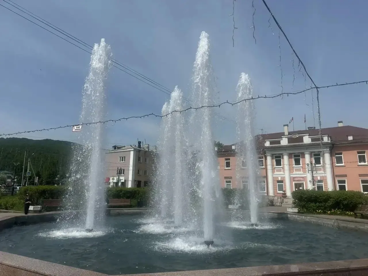 🌺МБУ «Благоустройство» активно продолжает высаживать цветы по всему городу. В этом году появились н