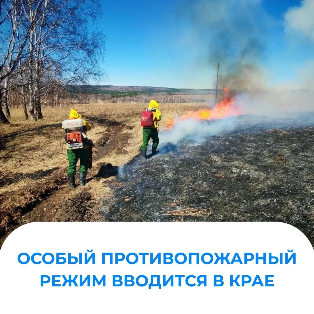 🚫 Особый противопожарный режим начинают поэтапно вводить в территориях края:  ◆︎ с 8 мая – в Дивного