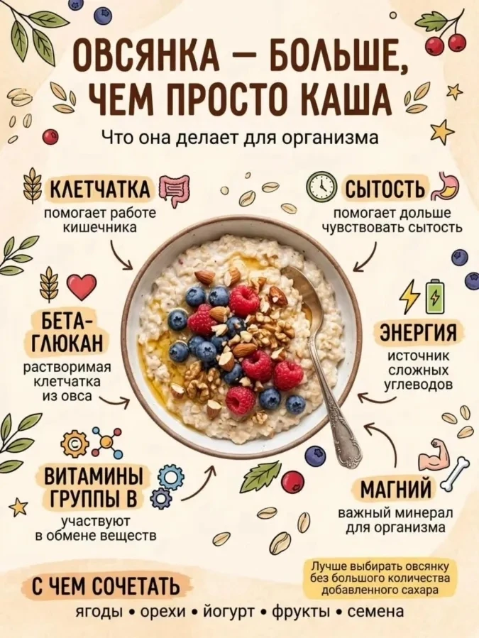 Овсяная каша — это полезный и питательный продукт, который улучшает пищеварение, защища...