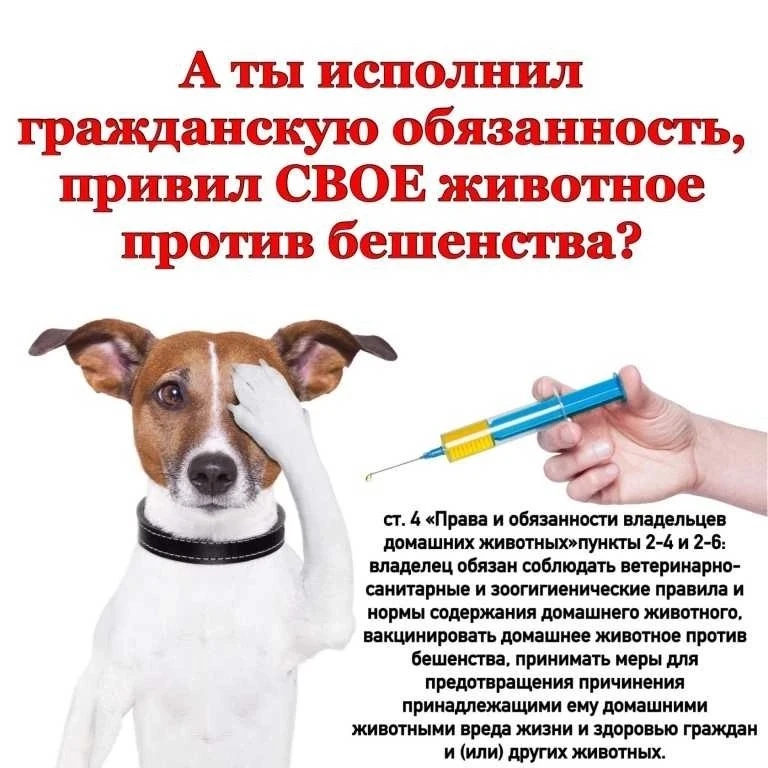 🦊 28 сентября — Всемирный день борьбы с бешенством