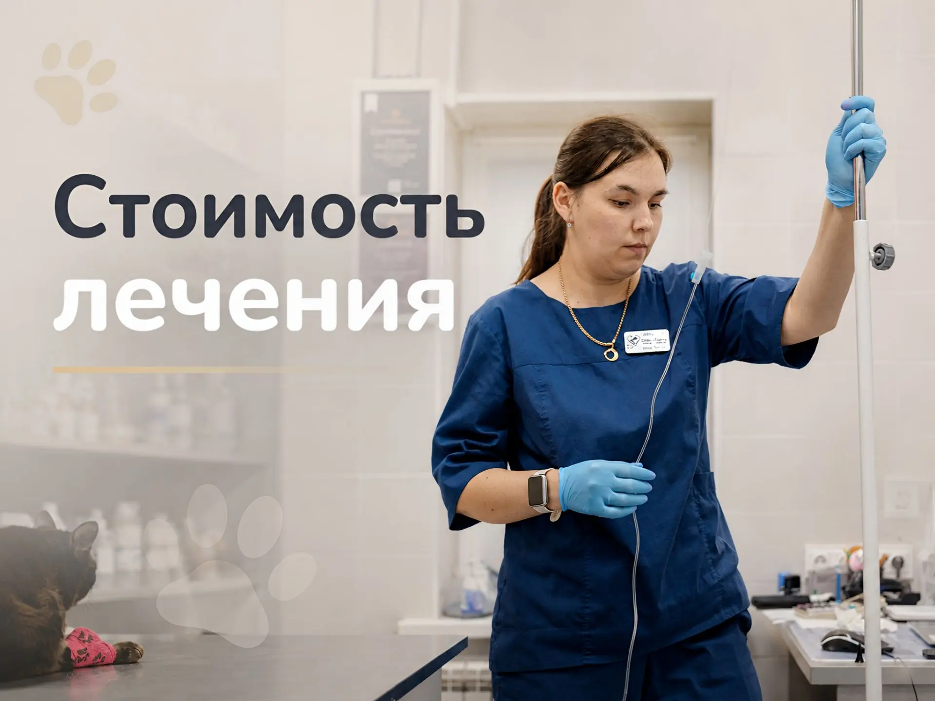 Стоимость лечения в ветеринарной клинике складывается не из одного действия.