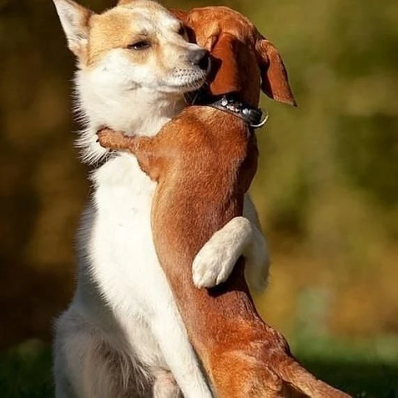 Как люди❤
