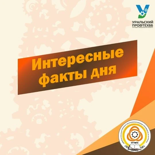 🐾 Во Всемирный день петербургских котов и котов — история настоящих героев без погон ✨🐾