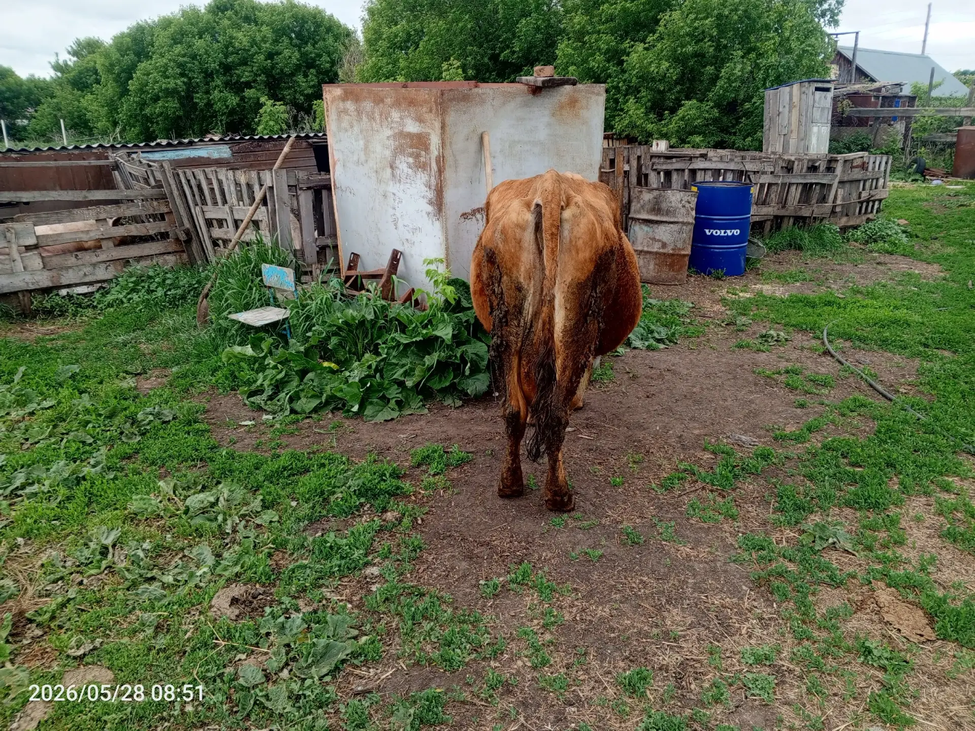 Продам 80 тыс тел 89028616930