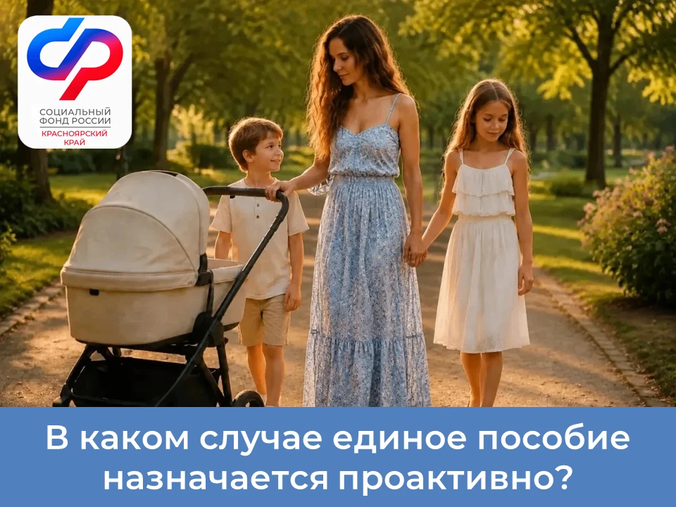 Изображение 1 к публикации «Социальный фонд России по Красноярскому краю»