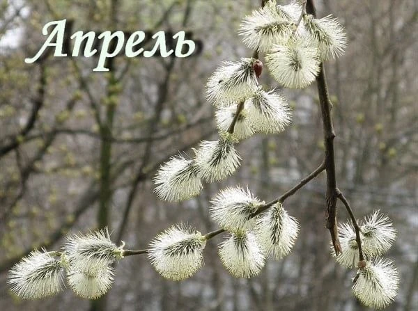 Дорогие коллеги!