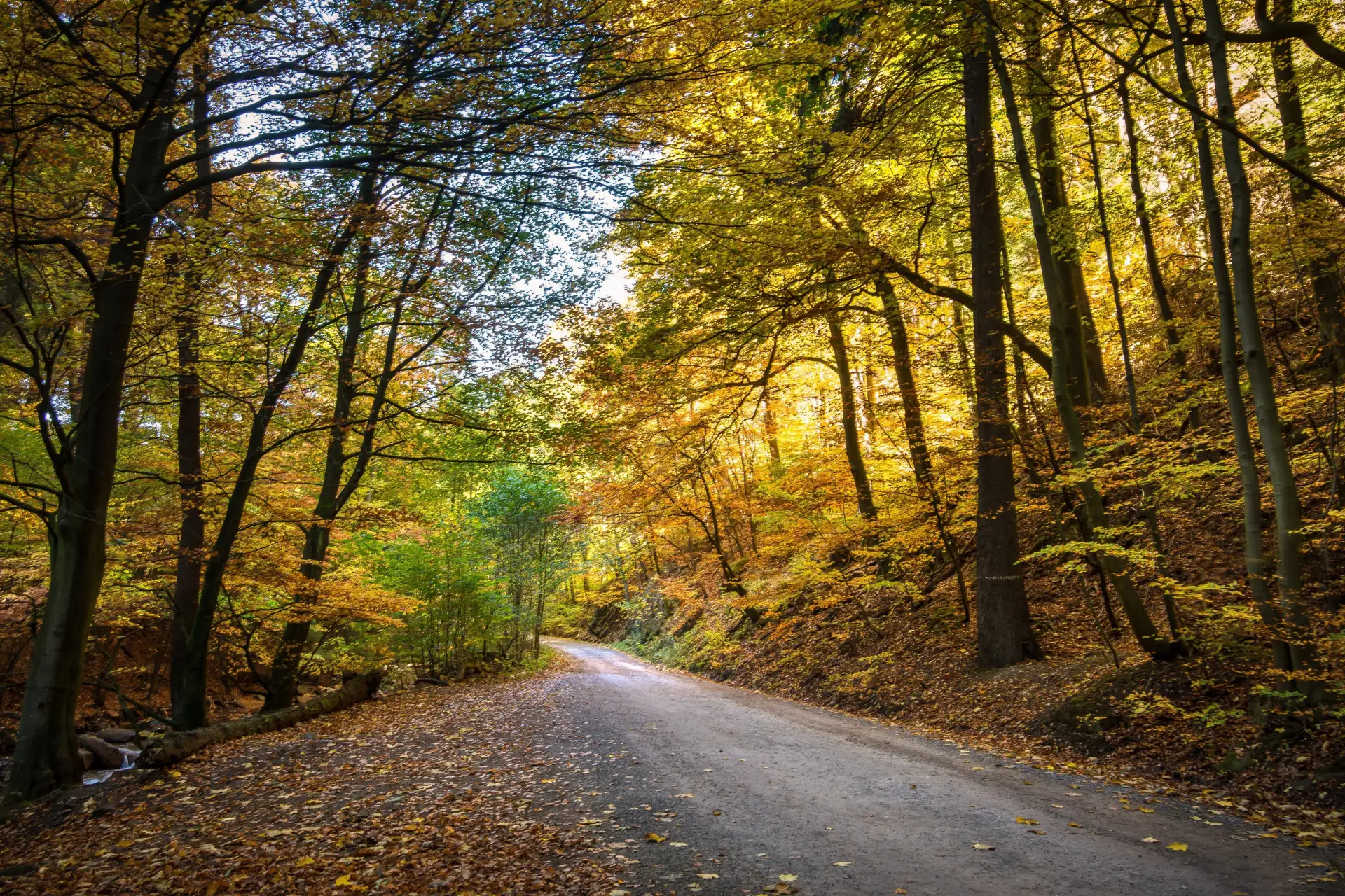 🍂Октябрь в южной части ПФО: чего ждать