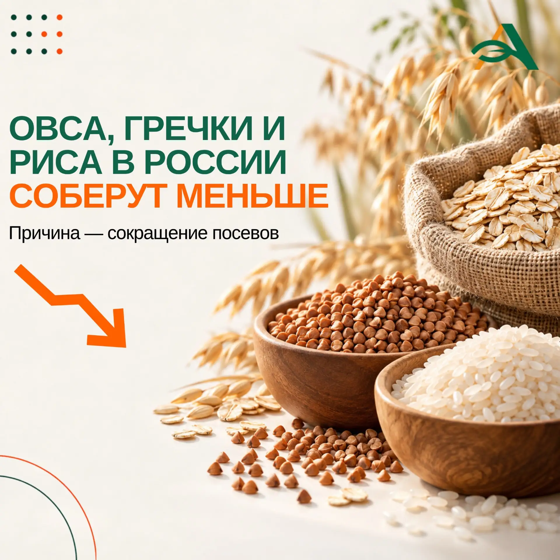 🌾Овсяных хлопьев, гречки и риса может оказаться меньше