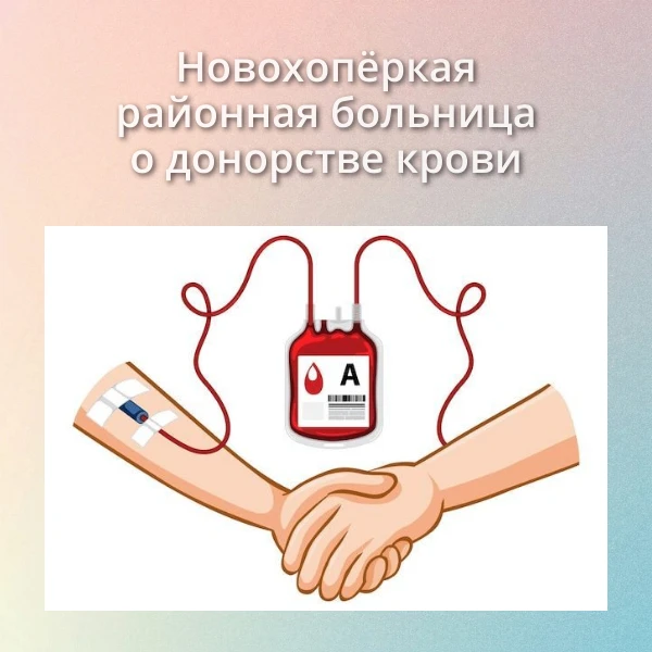 Капля жизни: почему донорство — подвиг, доступный каждому