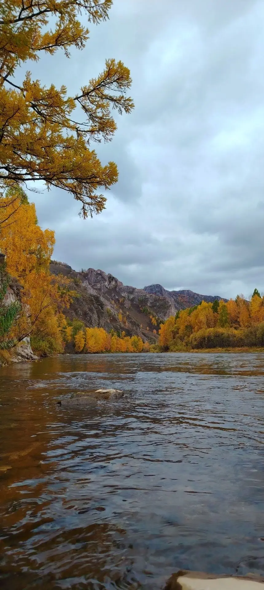 Тропа предков заиграла золотыми красками 🍂