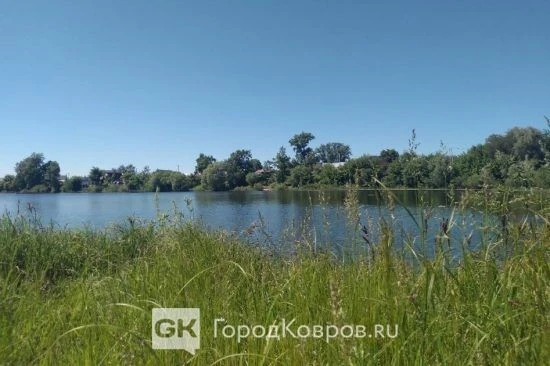 Владимирскую область ждёт похолодание и ливни 🫠

Жителям Владимирской области вновь пришла «МЧС-ка»