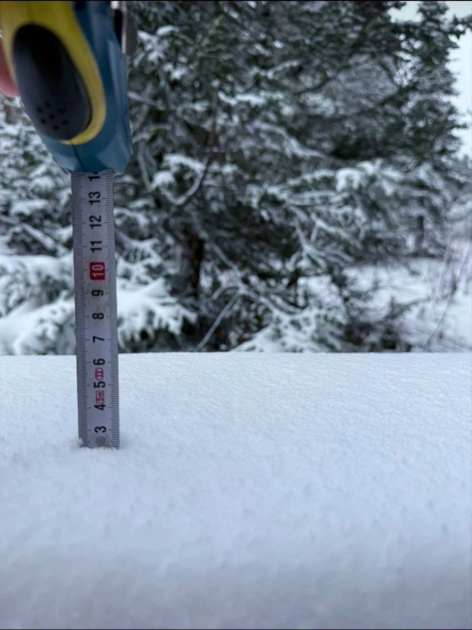 ❄️ Первый снег выпал под Красноярском и на юге края