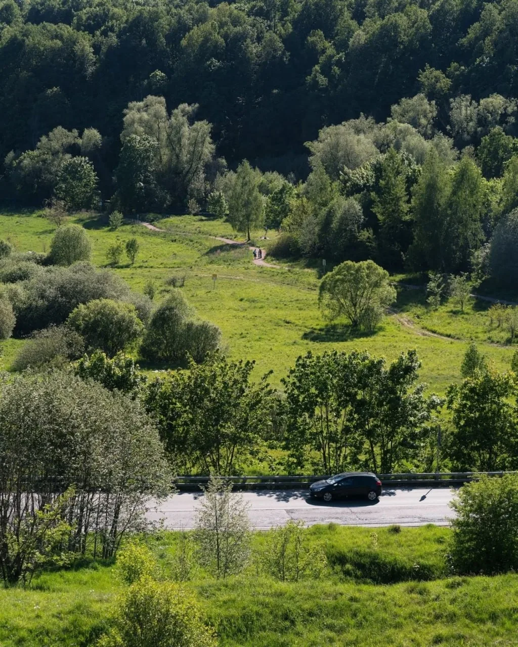 Природный парк «Долина реки Сходни в Куркино» 🌿