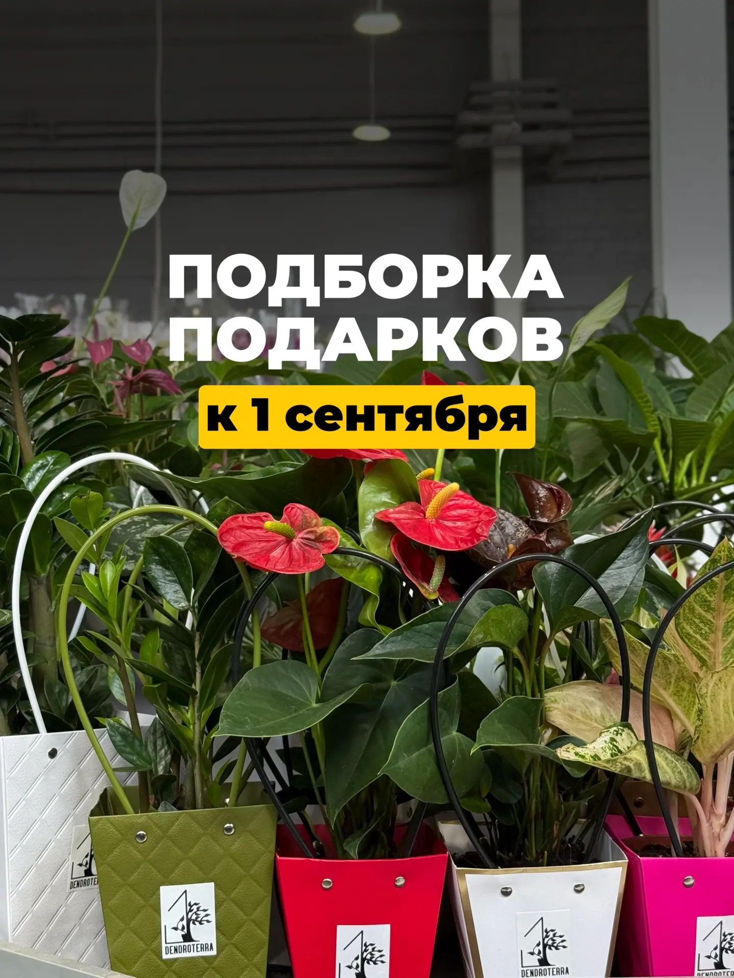 А подарок для класса и учителя уже выбрали?