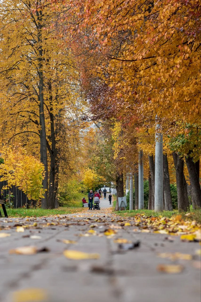 Осень в Мытищах 7 лет назад, 5 октября 2019 года 🍁