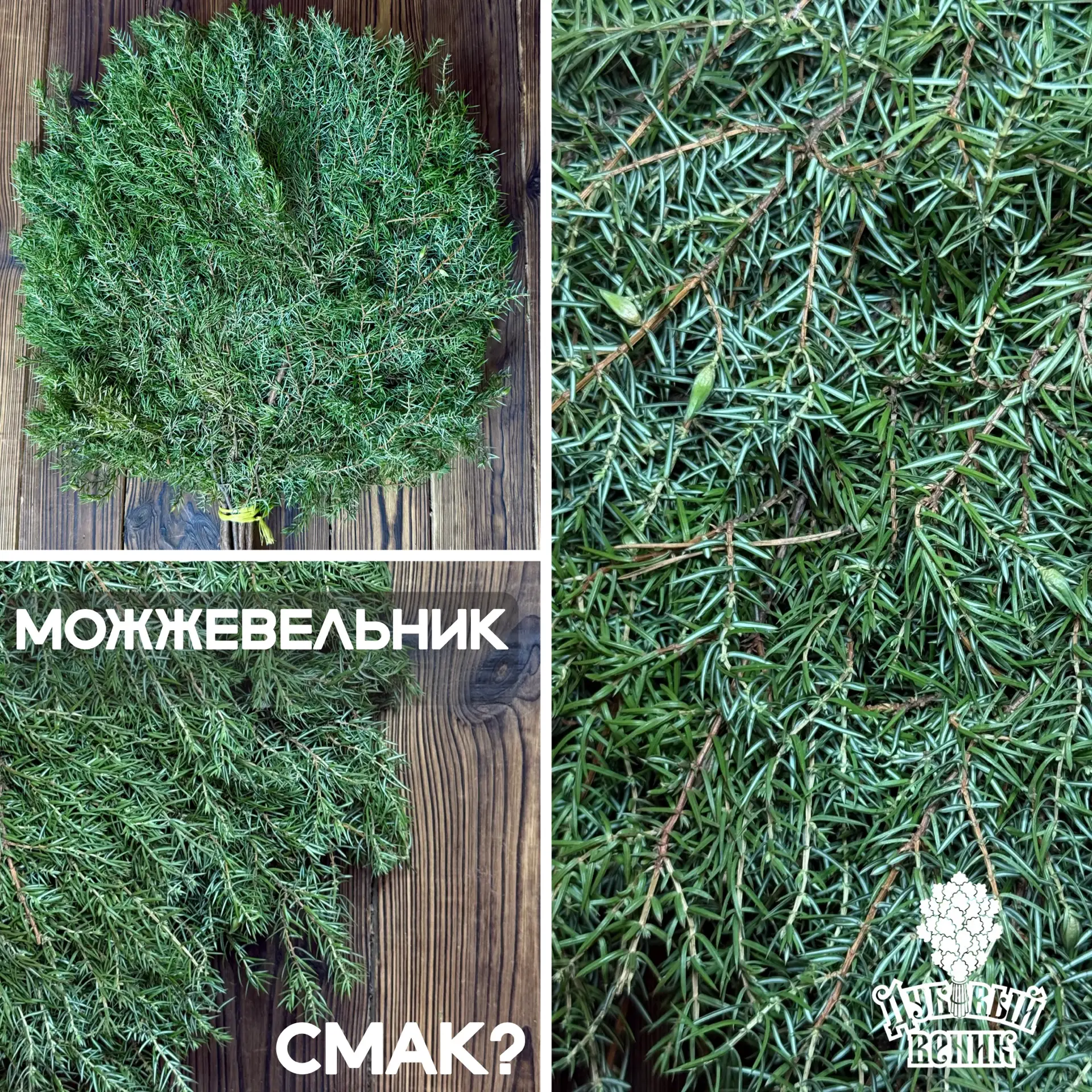 🌲Можжевеловый веник — хвойный антибиотик в вашей парной. 🌲