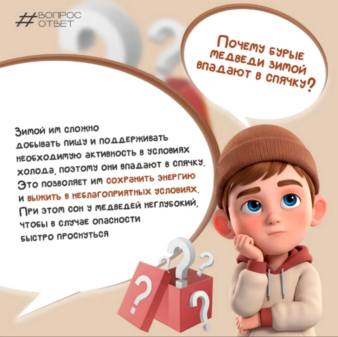 Любопытство — первый шаг к знаниям! 🔎🐻

В рубрике «Вопрос‑ответ» удовлетворяем интерес маленьких «