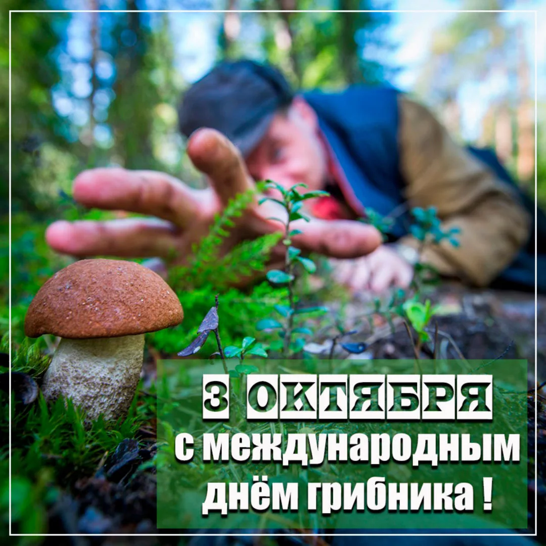Со Всемирным днём грибника! 🍄
