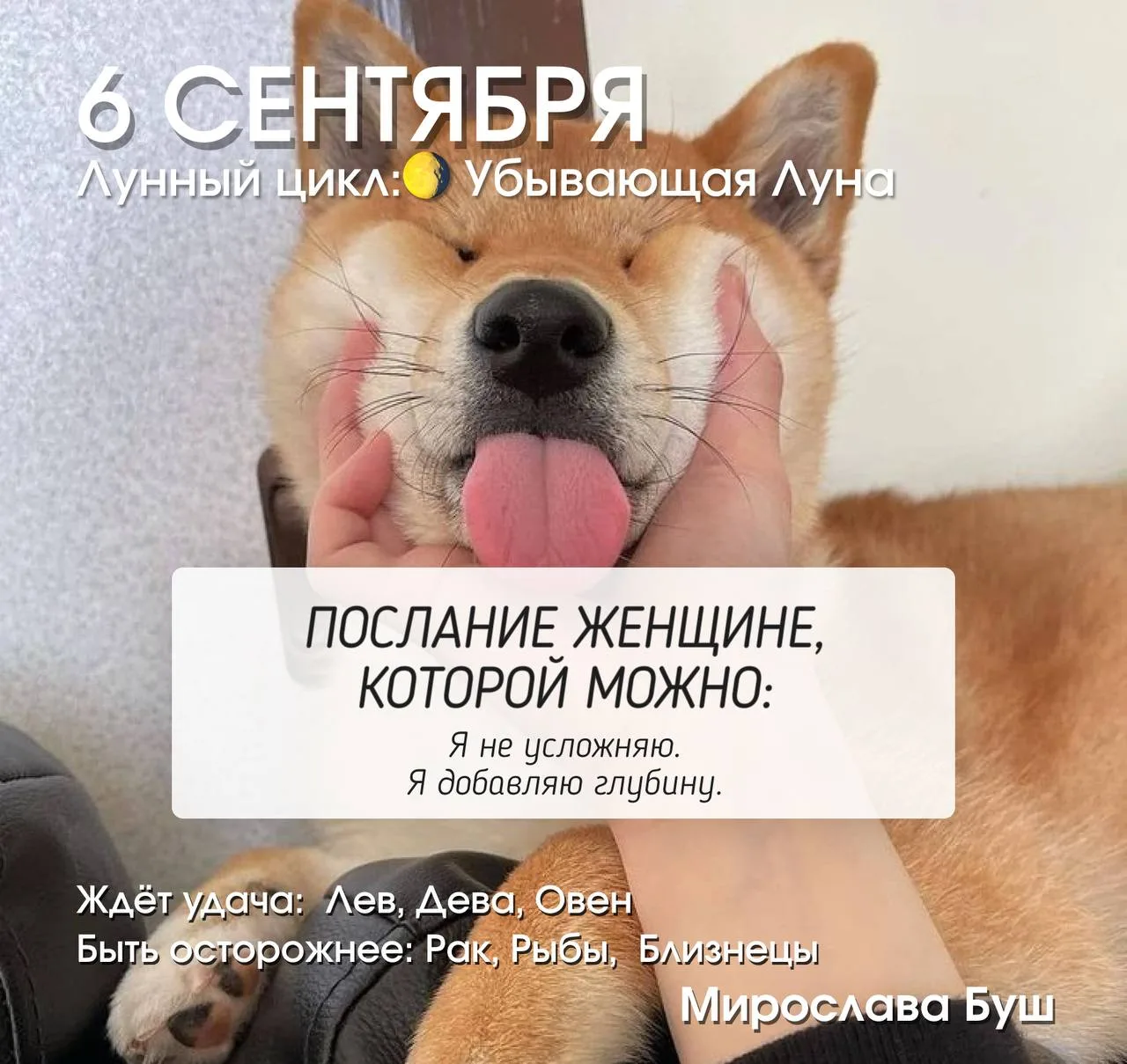 6 сентября РЕКОМЕНДАЦИИ 🔥