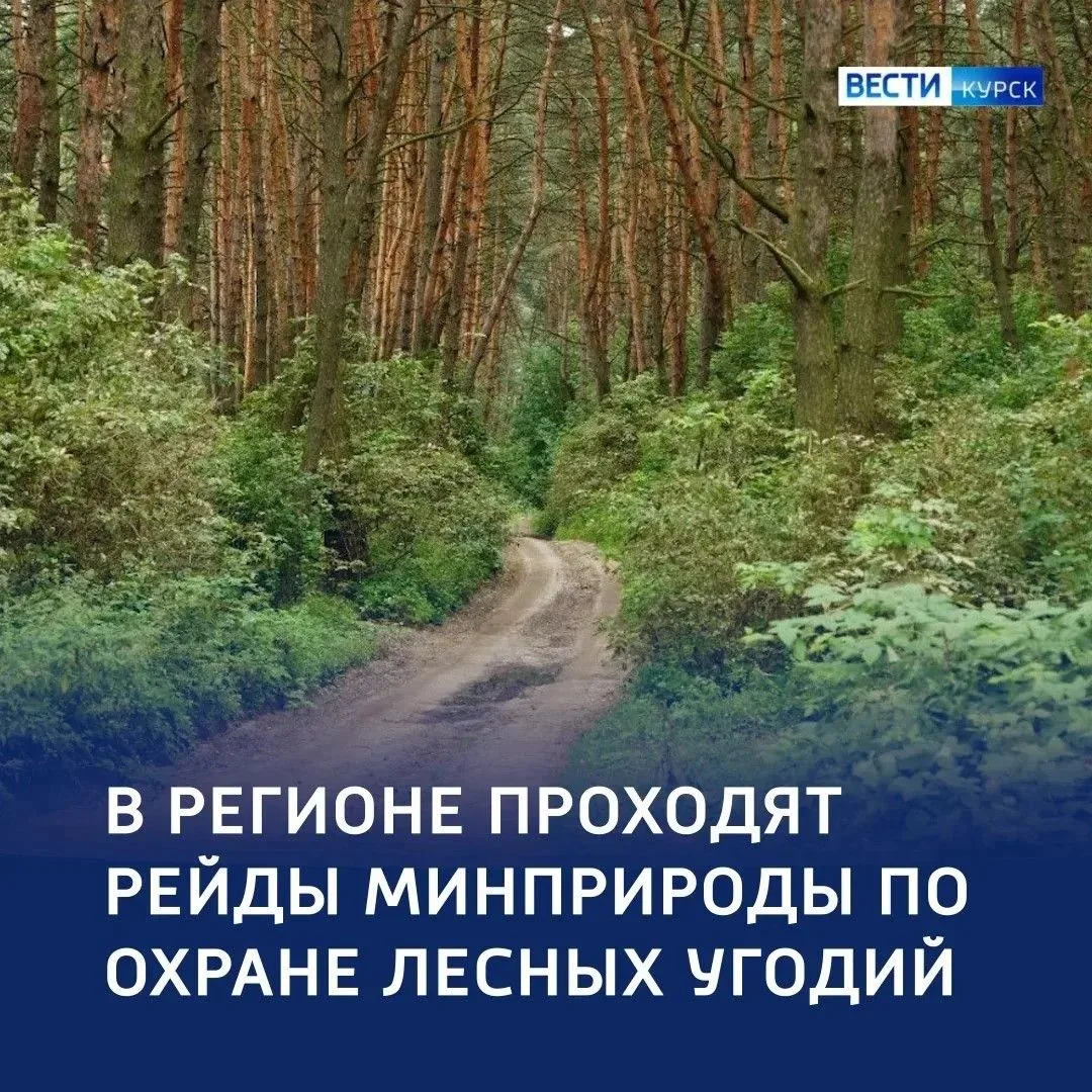 🕸 Сети на нарушителей: 8 протоколов — за неделю

🔺 С 4 по 10 июня сотрудники регионального Минприр