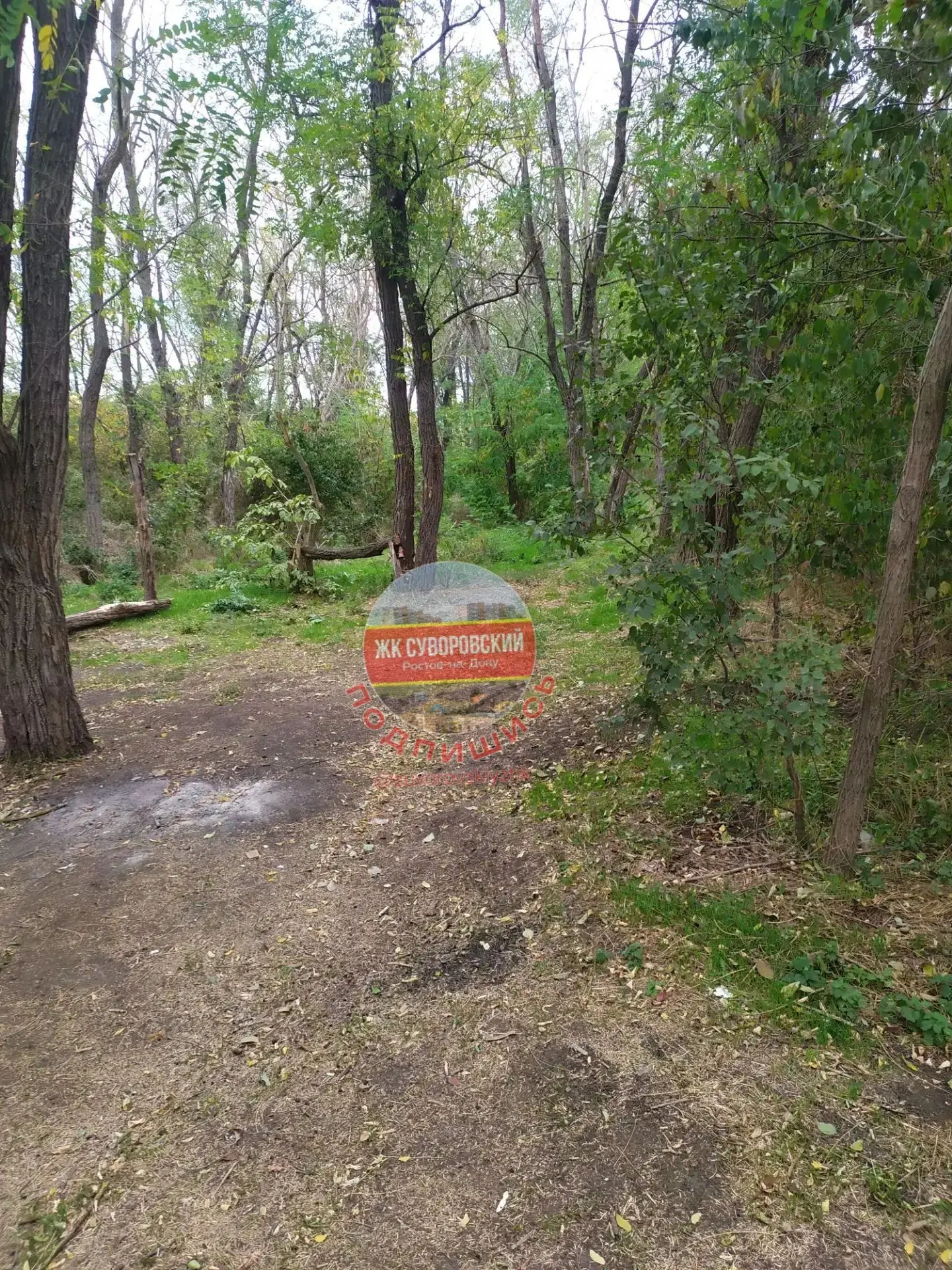 Ну что ж друзья, есть хорошие новости!