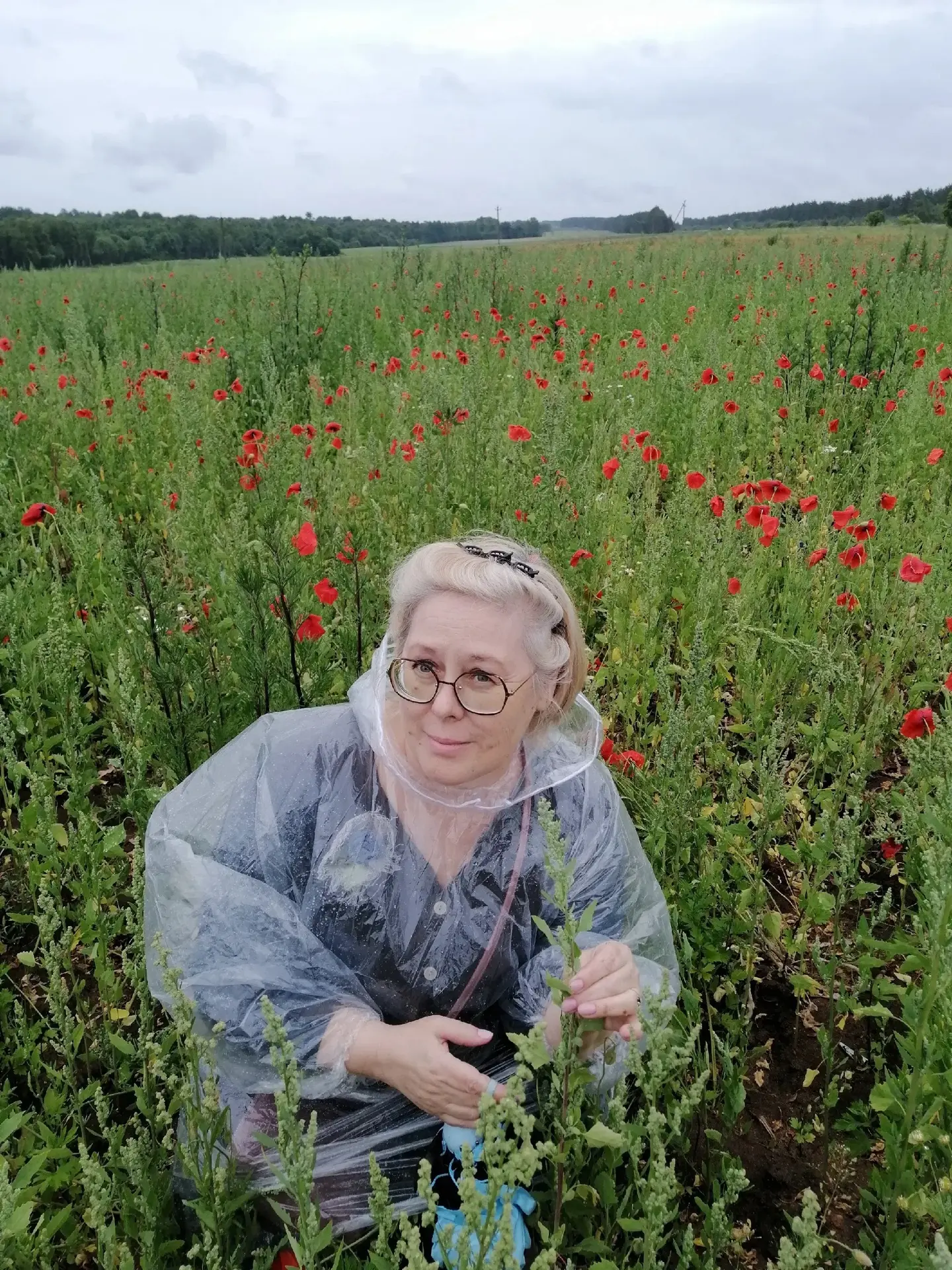 🌸 Цветное лето в «Динамике» 🌸

Удивительной красоты маковое поле высажено в Псковской области. Поэ