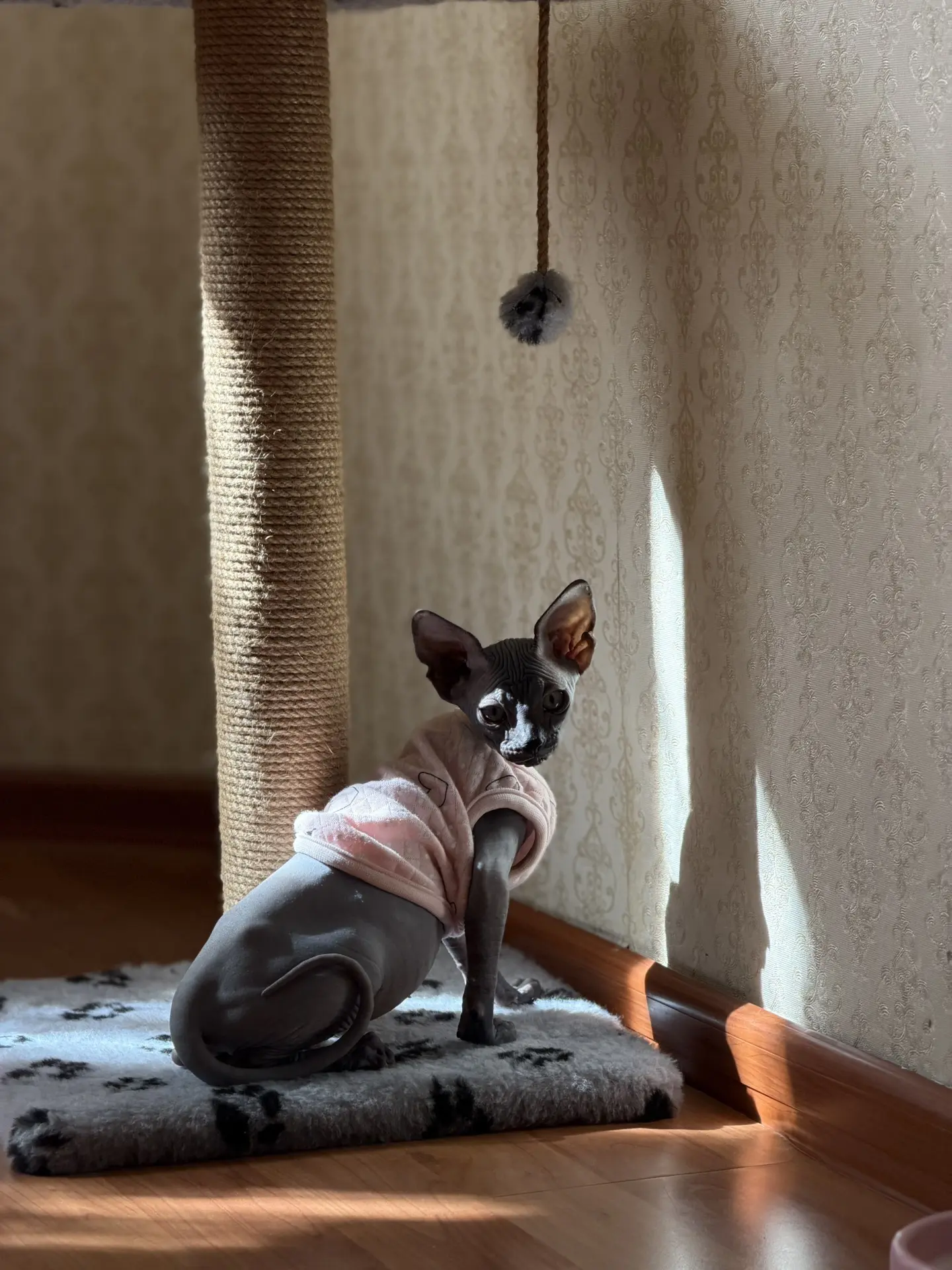 Лукеша❤️