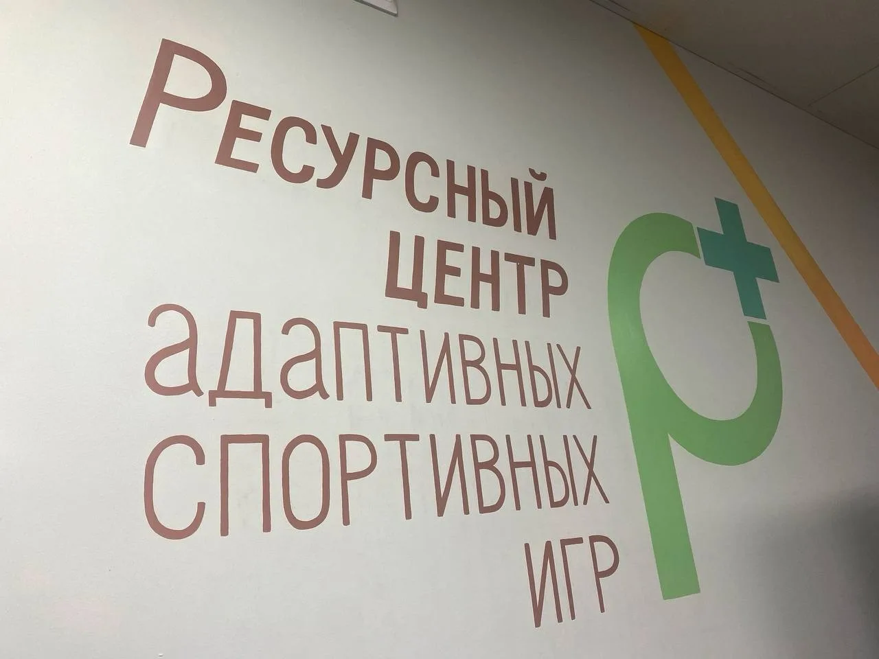 Вот так прошел мастер-класс по спортивным адаптивным играм, который вызвал,у детей, бурю эмоций...