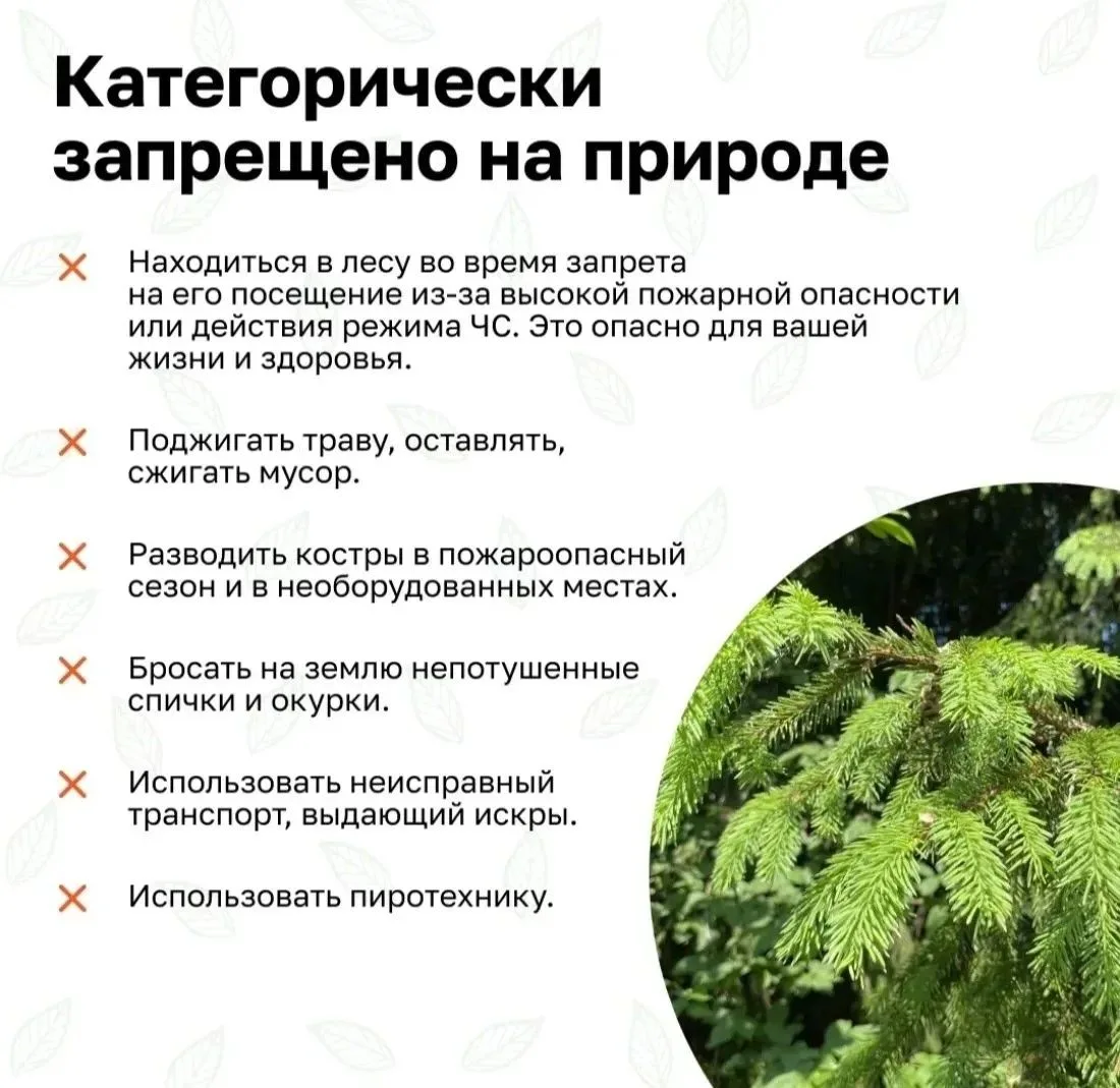 🔥 Проблема лесных пожаров становится всё острее с каждым годом. Они наносят огромный ущерб природе,
