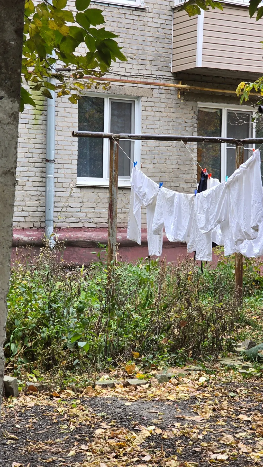 Хожу к маме в больницу. Иногда выбираю пешком, чтобы привести мысли в порядок. Путь леж...