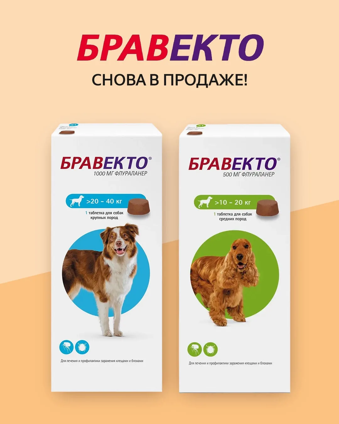 Бравекто снова в продаже в Четыре Лапы!

В наличии таблетки для собак весом от 10-20 кг и от 20-40 к