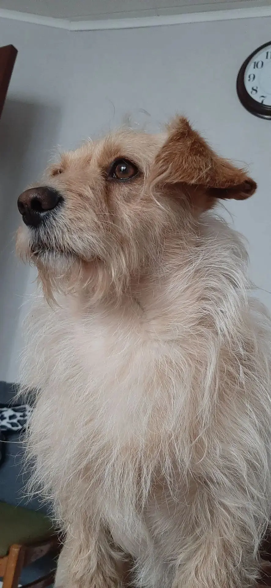 Фото