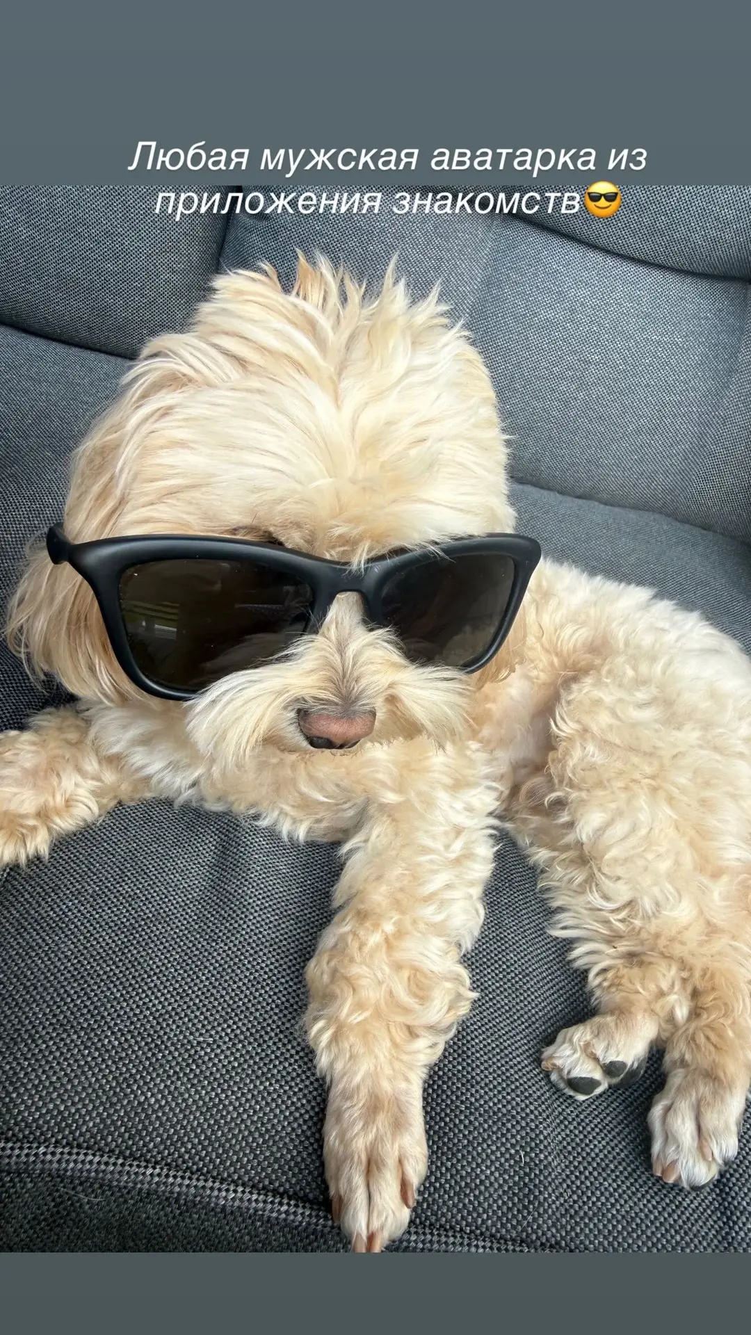 😎