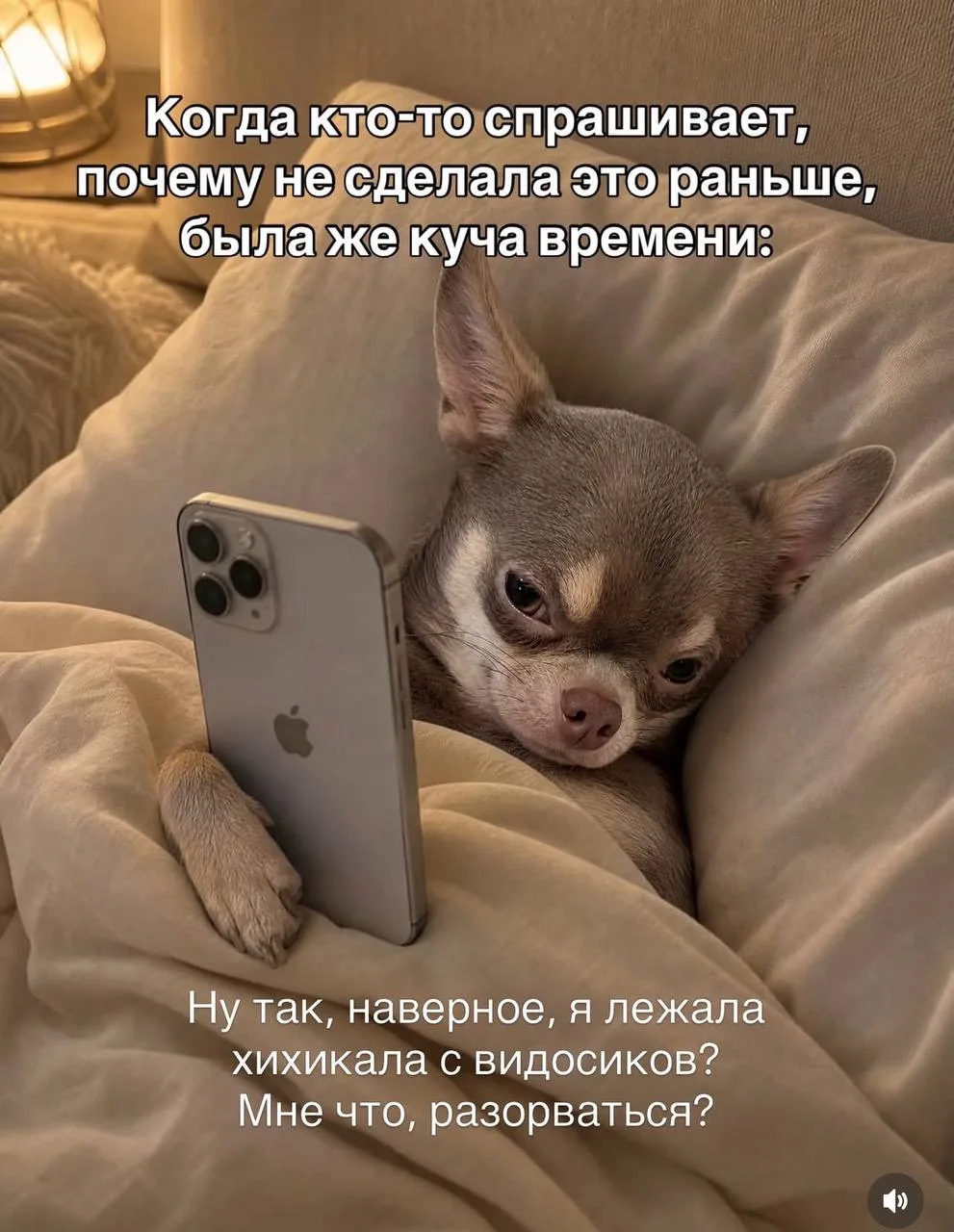 😂
