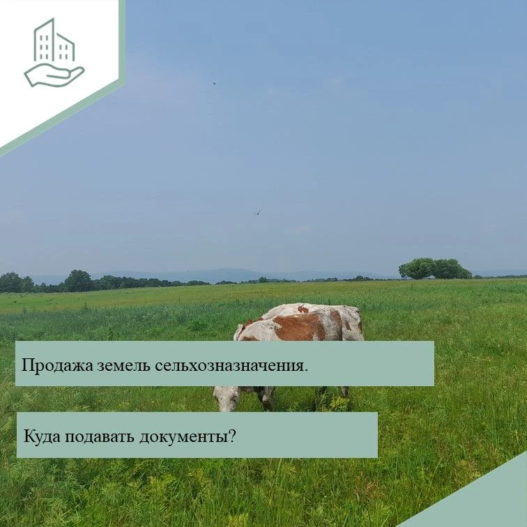 Внимание гражданам, желающим продать земельный участок сельскохозяйственного назначения❗ 
🔹Вам нужн