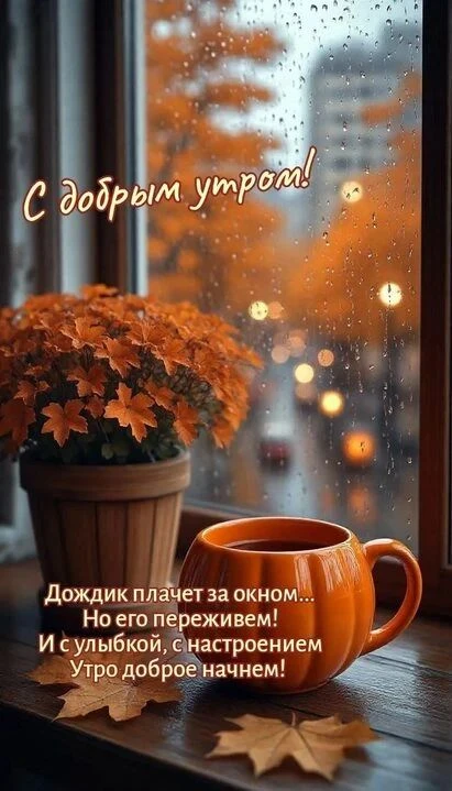Всем самое, доброе утро, дорогие 🌺