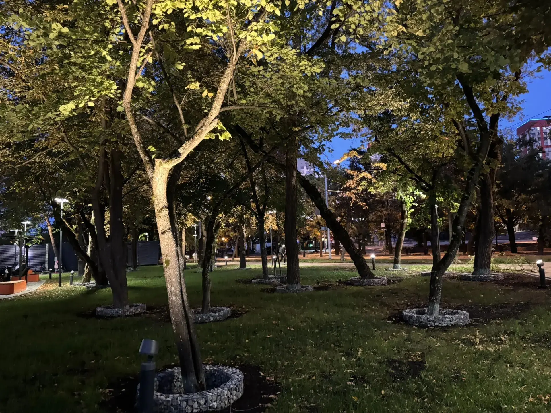 🌳 В Ставрополе благоустроили сквер возле лицея №8.