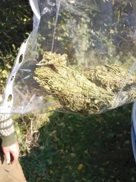 🌿 Больше 5 килограммов конопли нашли полицейские в доме у рецидивиста