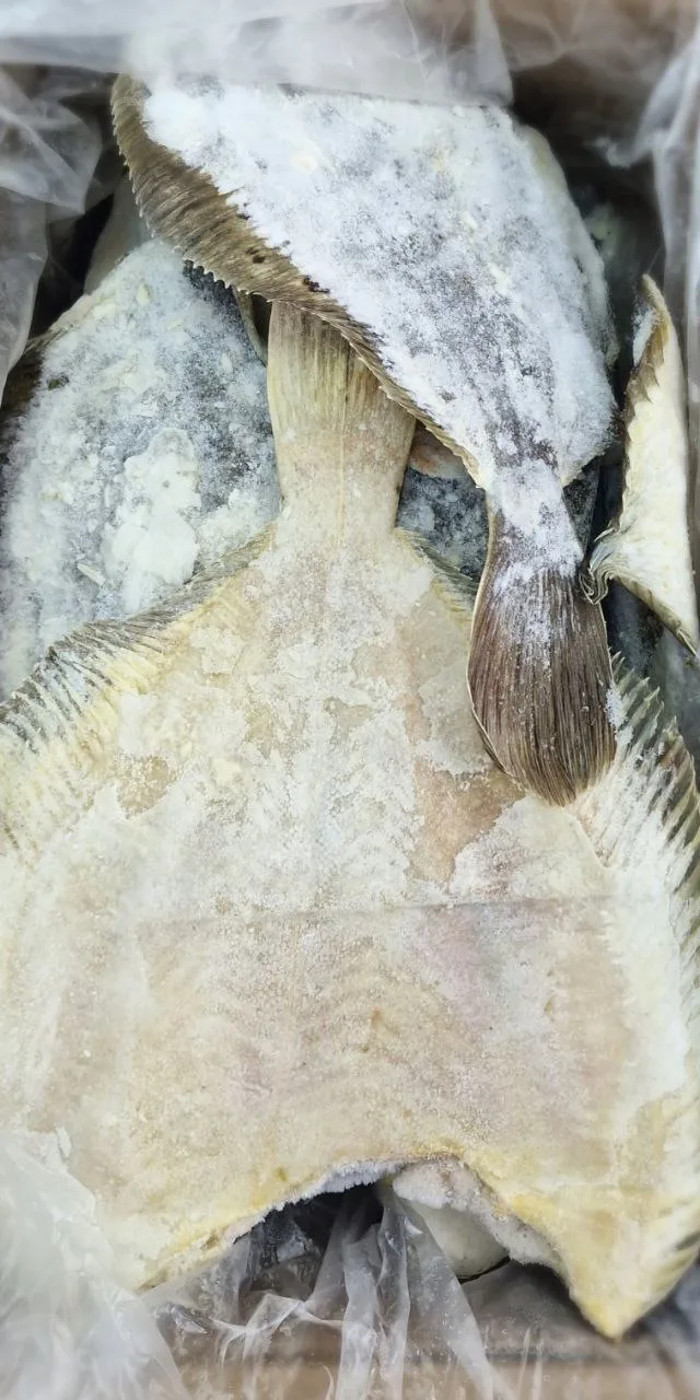 🐟 НОВАЯ ПОСТАВКА ИЗ НАШЕГО ЦЕХА!