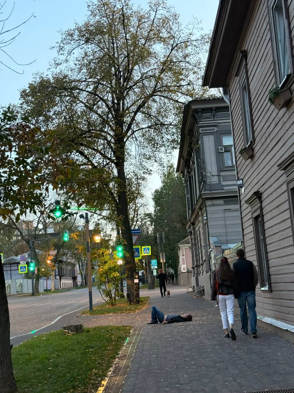 "Очарованный странник" в Заповедных кварталах, похоже, не выдержал эстетики места и уле...