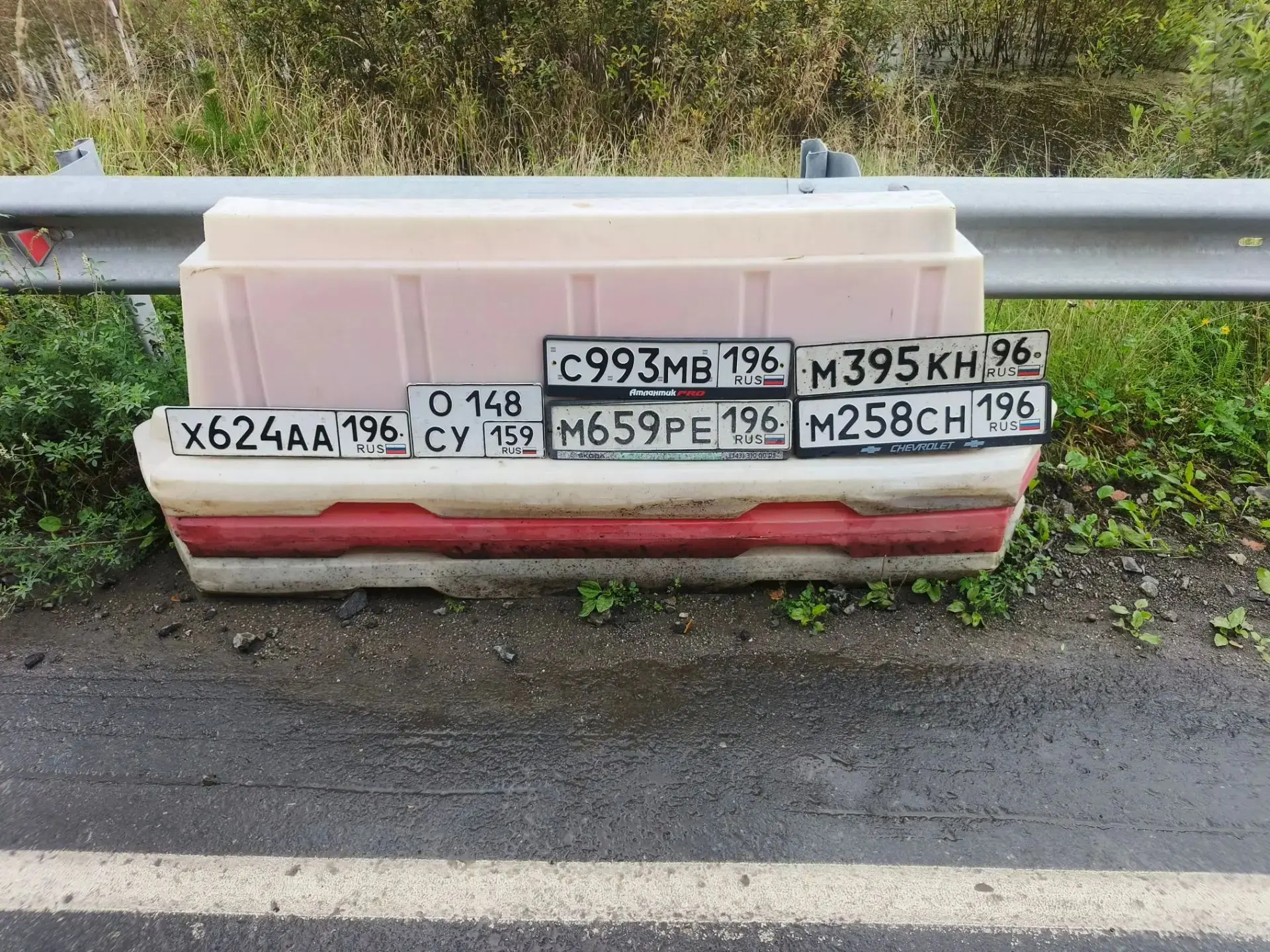 Выловленные в луже на дороге из Буланаша в сторону Писанца автомобильные номера.