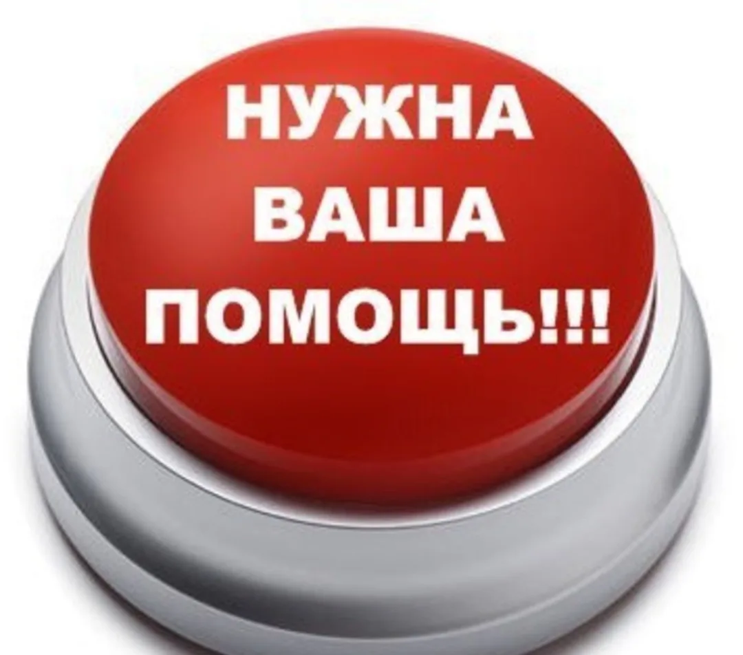 Друзья, нужна ваша помощь!🙏🙏🙏
